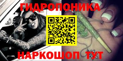 стафф Моздок