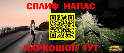 стафф Моздок