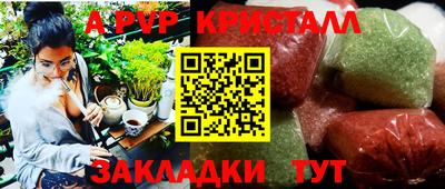 стафф Моздок