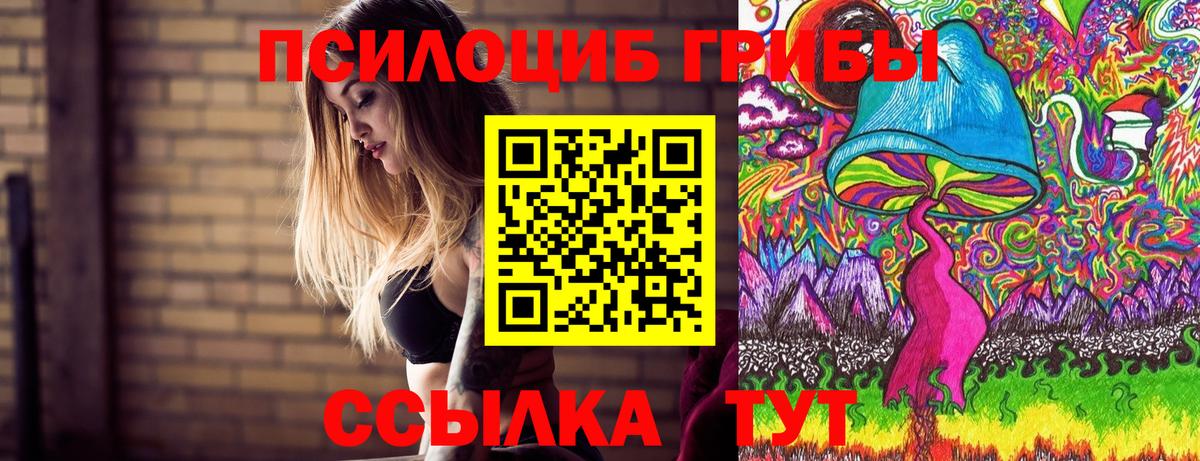 Ярцево  продажа наркотиков  Вход с VPN  Псилоцибиновые грибы MAGIC MUSHROOMS 